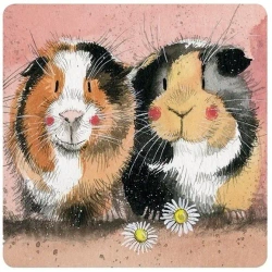 Podkładka pod kubek C128 Świnki morskie - Alex Clark