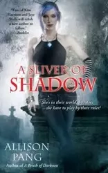 SLIVER OF SHADOW - PANG