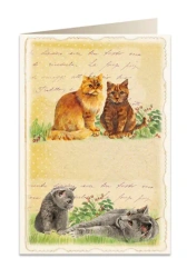 Karnet B6 + koperta 5904 Koty - Tassotti