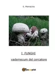 I Funghi - Marracino Ermanno