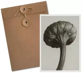 Karnet BF5-103 Jastrun właściwy - Skona Ting