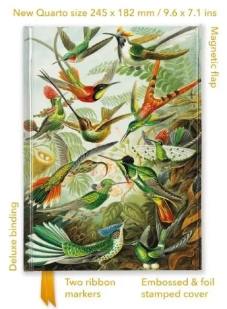Notatnik quatro linia TW Kolibry Ernst Haeckel - Flame Tree
