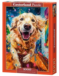 Puzzle 1000 Euphoric Spectrum CASTOR - Castorland