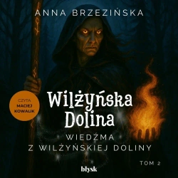 audiobook Wiedźma z Wilżyńskiej Doliny - Anna Brzezińska