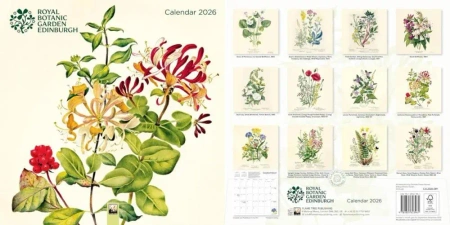Kalendarz 2026 ścienny Royal Botanic Garden - Flame Tree
