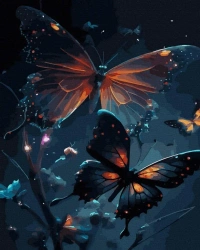 Malowanie po numerach czarne płótno - Nocne Motyle - Twoje Hobby