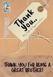 Thank You For Being a Great Brother! - Publishing Group The Life Graduate