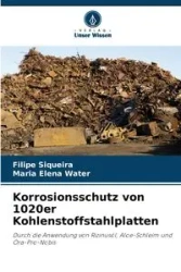 Korrosionsschutz von 1020er Kohlenstoffstahlplatten - Siqueira Filipe