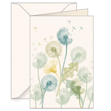 Karnet B6 + koperta 6127 Mniszek lekarski - Tassotti