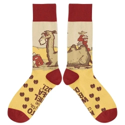 Skarpetki - Kto czyta, nie wielbłądzi rozm. 42/46 - Molom