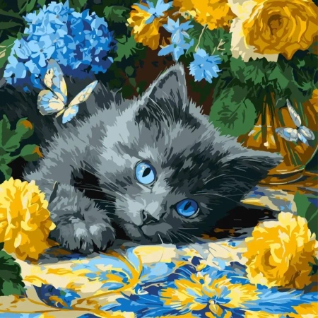 Malowanie po numerach - Błękitnookie kocię 40x40cm - Ideyka