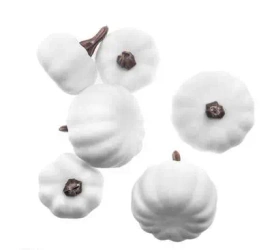 Mini dynie mix 6szt białe - Dalprint dpCraft