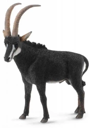 Antylopa olbrzymia - samiec - Collecta