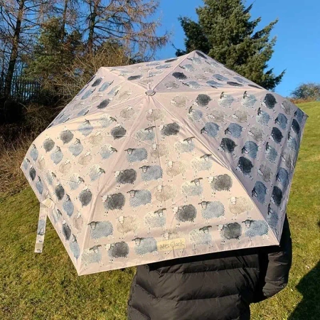 Parasolka Owieczki - Alex Clark