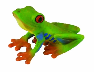 Żaba czerwonooka rzekotka drzewna - Collecta