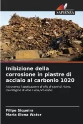 Inibizione della corrosione in piastre di acciaio al carbonio 1020 - Siqueira Filipe