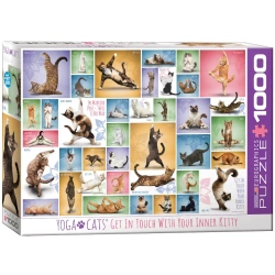 Puzzle 1000 Yoga Cats 6000-0953 - Eurographics