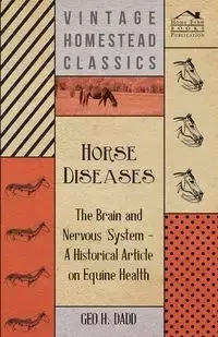 Horse Diseases - The Brain and Nervous System - A Historical Article on Equine Health - Dadd Geo H