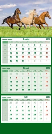 Kalendarz 2026 trójdzielny Konie - praca zbiorowa
