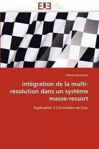Intégration de la multi-résolution dans un système masse-ressort - BENAMEUR-S