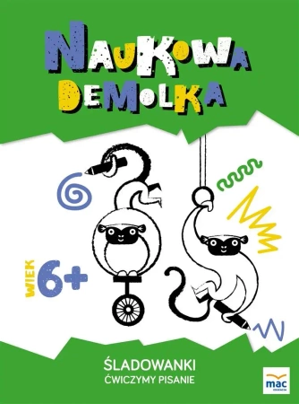 Śladowanki. Ćwiczymy pisanie 6+ - Magdalena Marczewska, Wiesława Żaba-Żabińska
