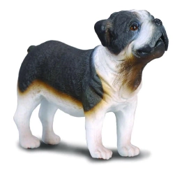 Pies buldog - Collecta
