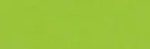 Brystol kolorowy Happy Color 170g A3 25 arkuszy jasnozielony