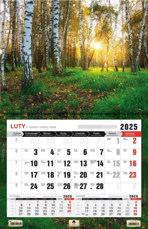 Kalendarz 2025 Trójdzielny JEDNODZIELNY 3XL KTJ-3XL V.16 LAS - PAN KALENDARZYK