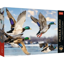Puzzle 1000 elementów. Premium Plus Quality. Krzyżówki w locie