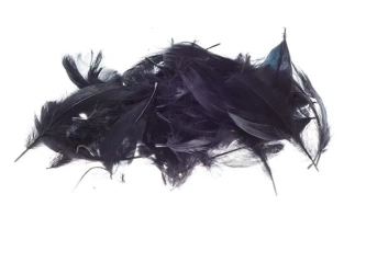 Pióra czarne 5-12cm 7g - Brewis