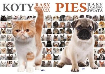 Pakiet: Koty / Pies. Rasy z całego świata - Opracowanie zbiorowe