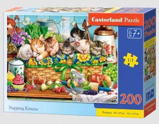 Puzzle 200 Napping Kittens CASTOR - Castorland