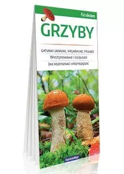 Grzyby - praca zbiorowa