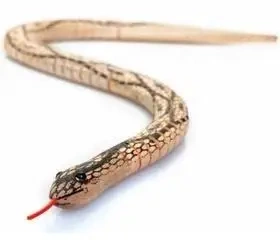 Wąż dewniany MIX