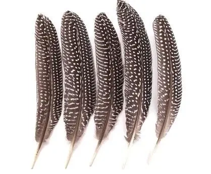 Pióra bażanta 18-20cm 5szt - Dalprint dpCraft