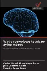 Wady rozwojowe tętniczo-żylne mózgu - Carlos Michel Albuquerque Peres
