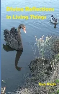 Divine Reflections in Living Things - Eva Peck