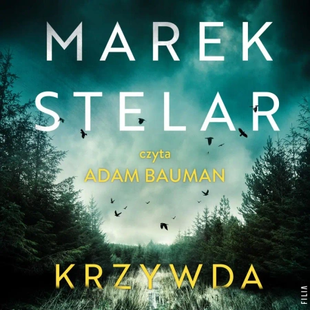 audiobook Krzywda - Marek Stelar