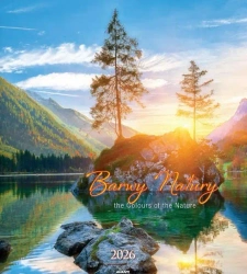 Kalendarz 2026 ścienny 32x32cm Barwy... - AVANTI