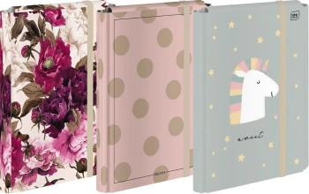 Teczka z gumką A4 twarda Girls mix - INTERDRUK