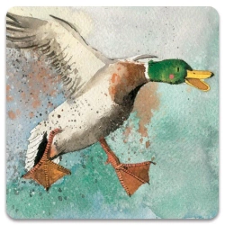 Magnes FM86 Lądująca kaczka - Alex Clark