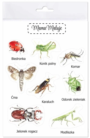 Naklejki duże Owady 1 - Mama Maluje