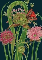 Karnet B6 z kopertą Czosnek nocą - Madame Treacle