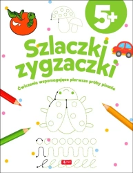 Szlaczki zygzaczki - praca zbiorowa
