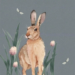 Karnet Swarovski kwadrat CL4701 Zając - Clear Creations