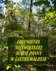 eBook Objawienia Najświętszej Maryi Panny W Gietrzwałdzie. Ze źródeł autentycznych - Stanisław Roman epub mobi