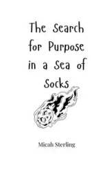 The Search for Purpose in a Sea of Socks - Sterling Micah