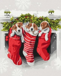 Malowanie po numerach. Prezent od Świętego Mikołaja - Twoje Hobby