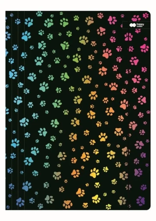 Teczka A4+ z gumką Miaow czarna HAPPY COLOR - GDD