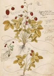 Karnet ST410 B6 + koperta Poziomka - Skona Ting